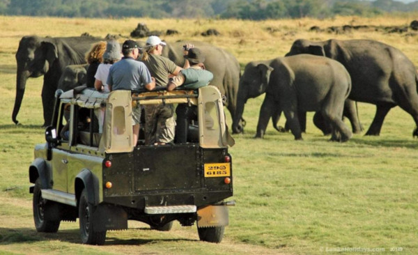 Nature & Wildlife Tour